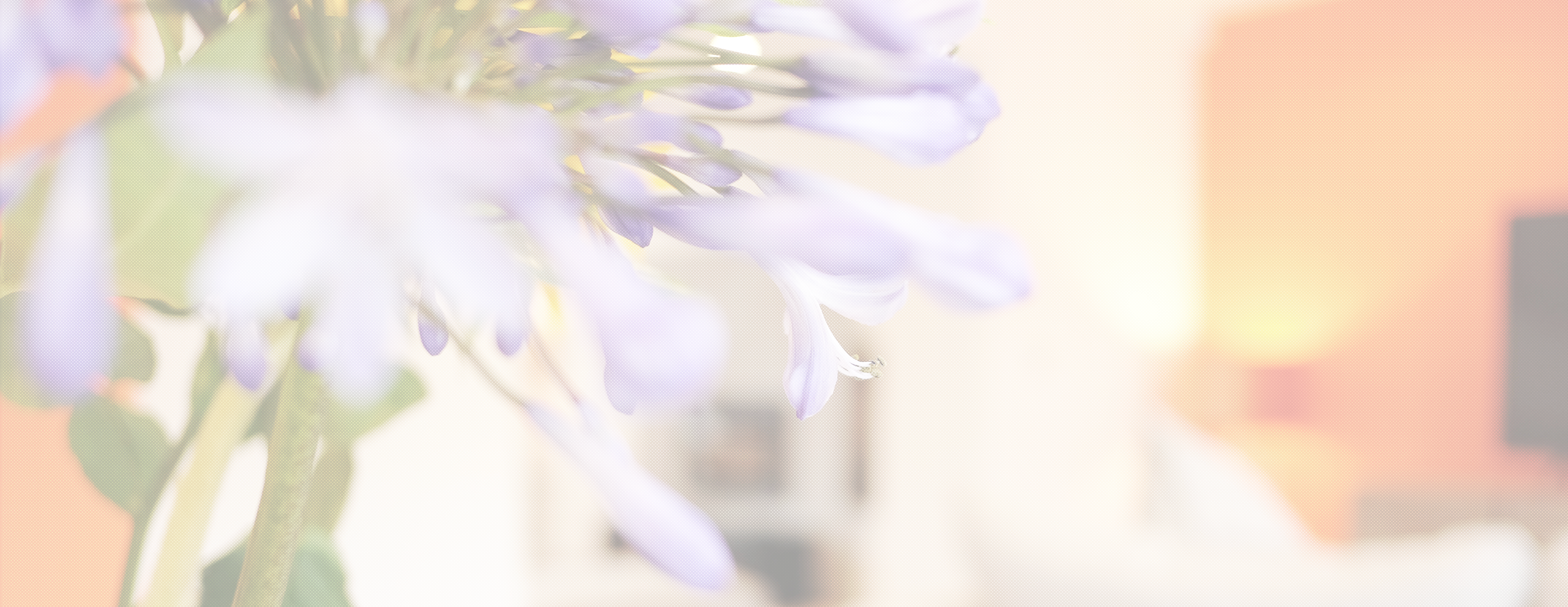 header